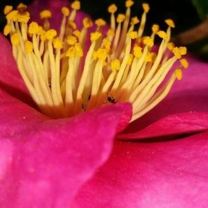 Meet your Posher, Shaun